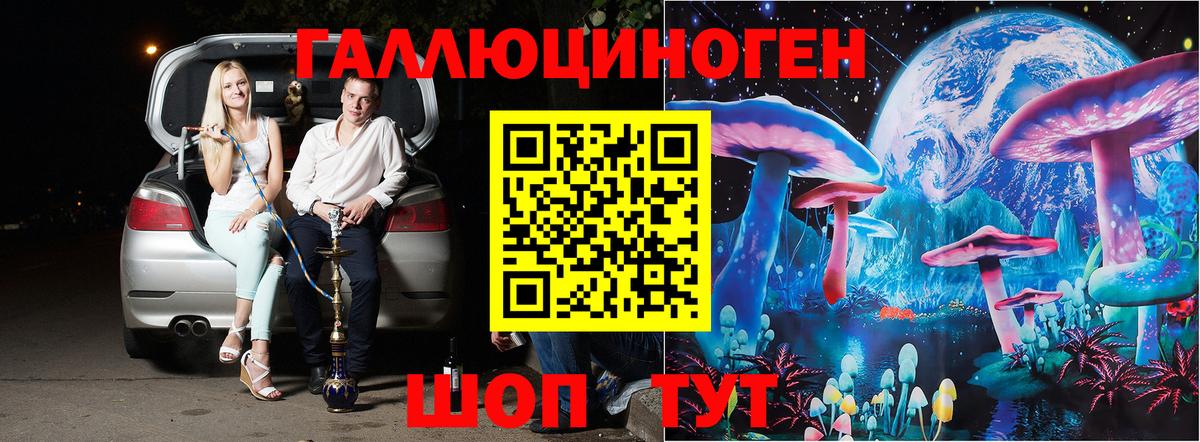 Псилоцибиновые грибы прущие грибы  Вход с VPN  Шали 