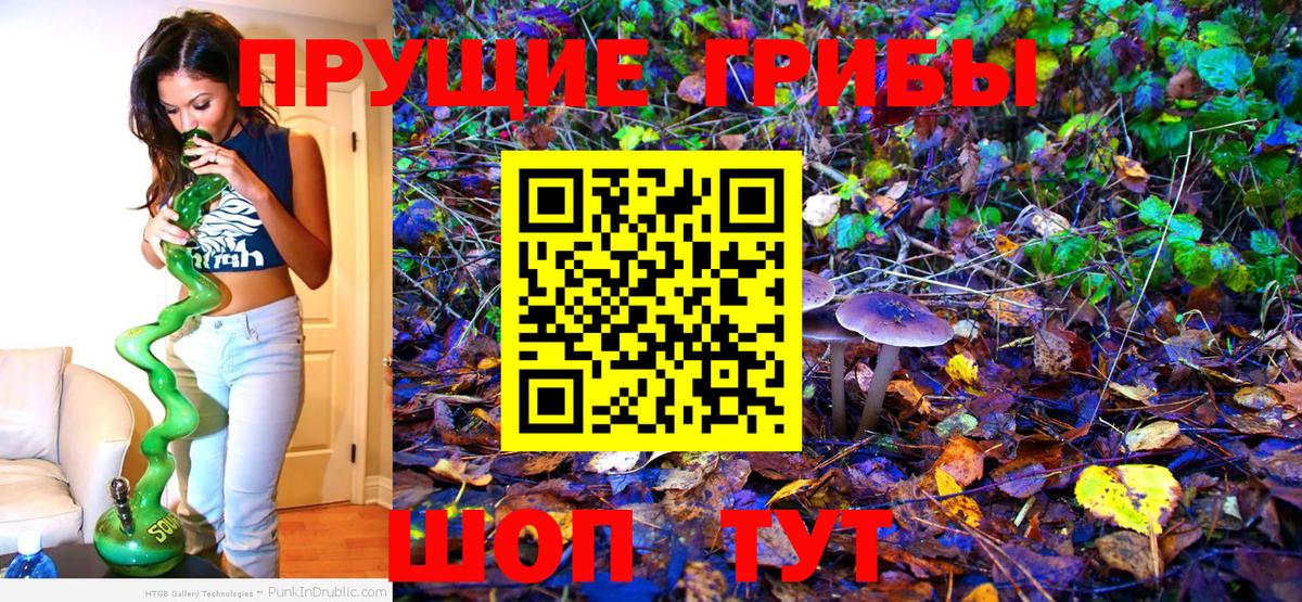 Псилоцибиновые грибы Cubensis Шали