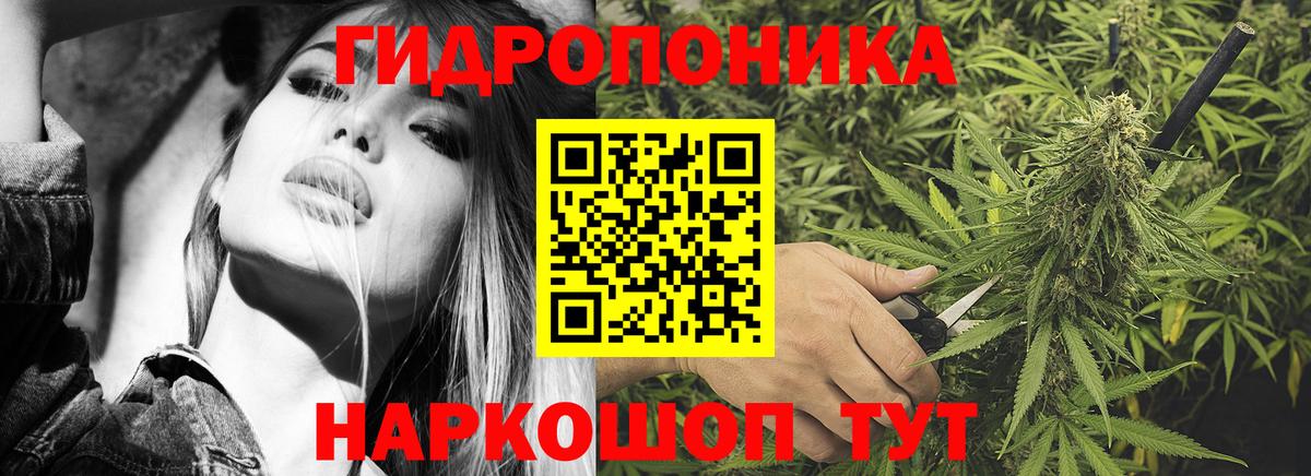 Бошки Шишки семена Шали
